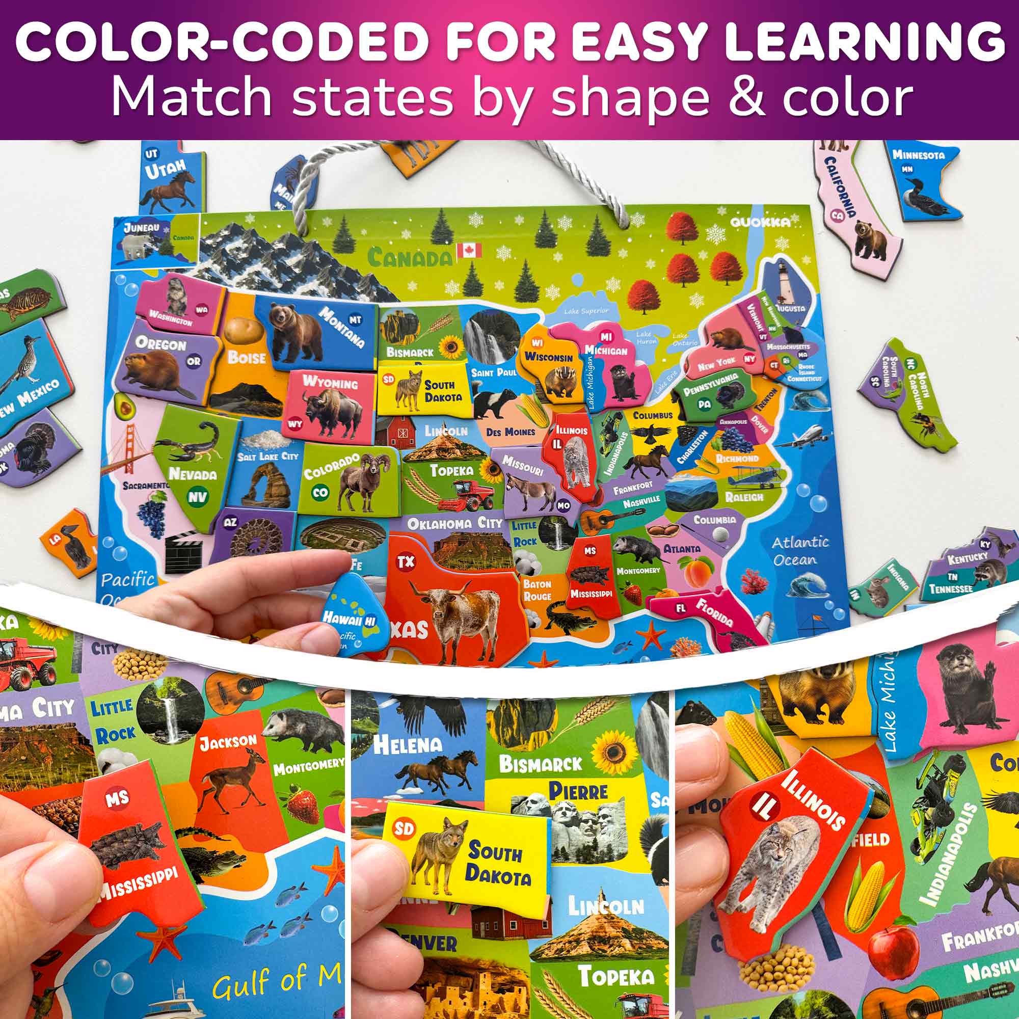 Magnetic Puzzles for Kids - Realistic USA Map - Image 4