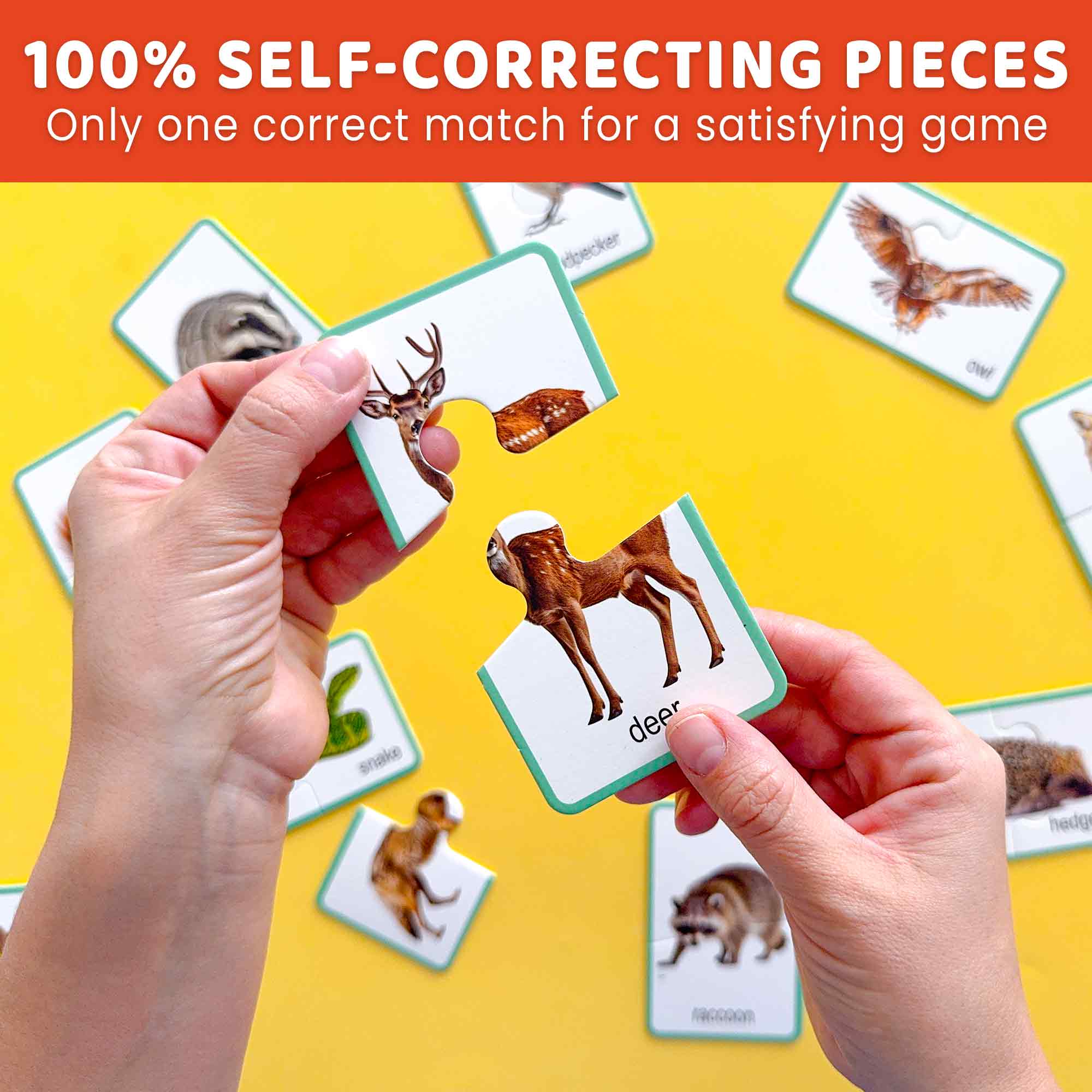 Matching Puzzle for Toddlers - 16 Realistic Pairs Forest Animals - Image 3