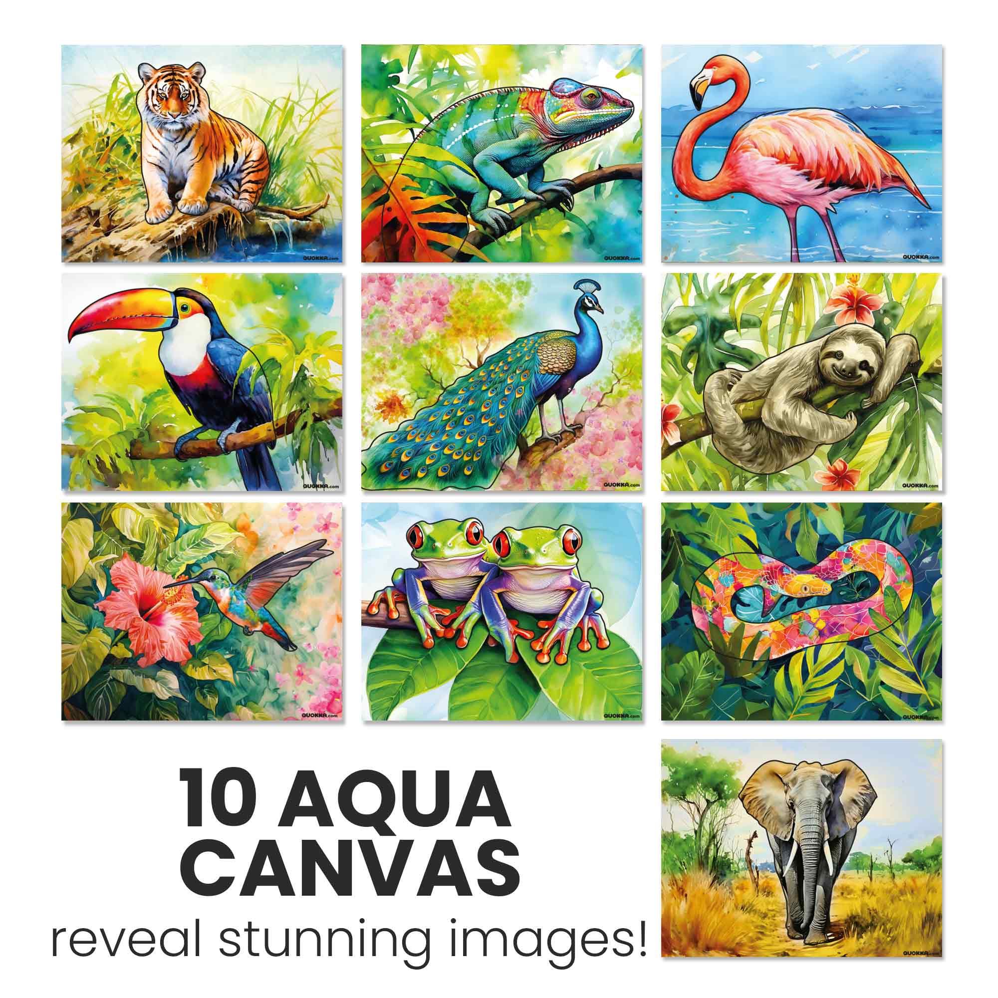 Water Painting Dementia Activities for Seniors | Tropic - Image 3