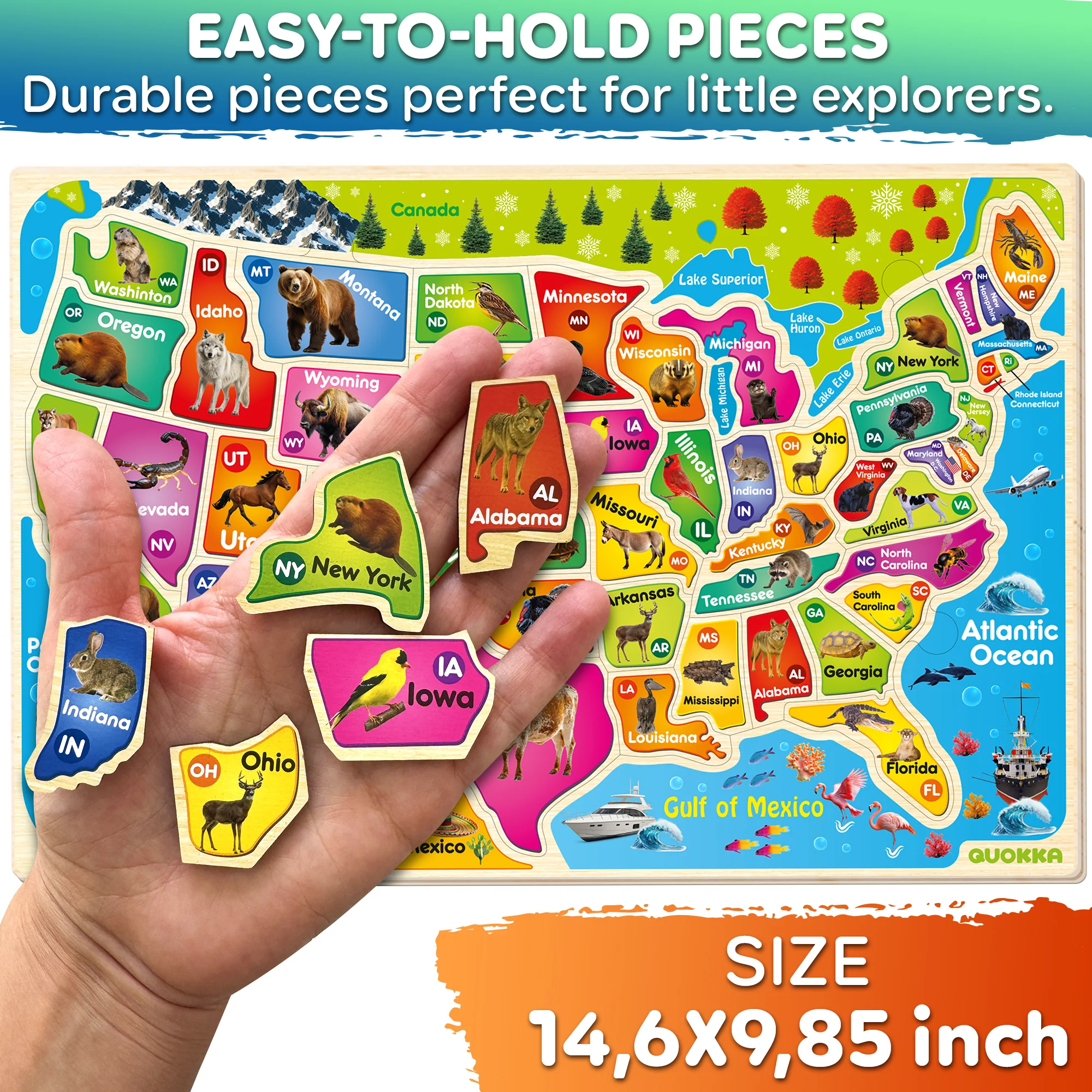 Wooden Puzzles for Kids - Realistic USA Map - Image 3